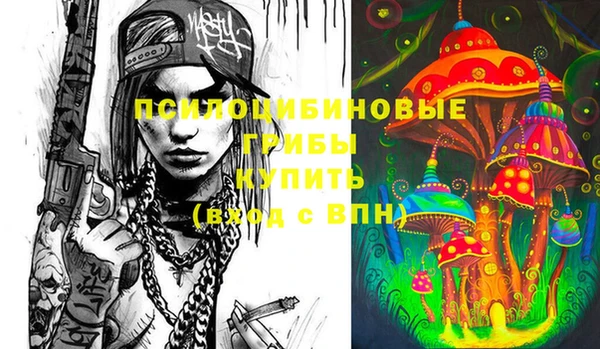ПСИЛОЦИБИНОВЫЕ ГРИБЫ Абинск