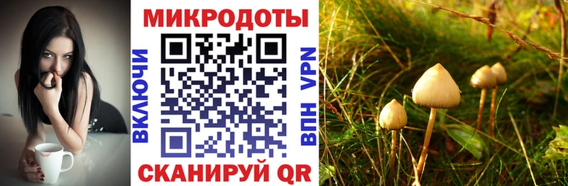 где купить наркотик  KRAKEN ССЫЛКА  Галлюциногенные грибы Psilocybine cubensis  Красноперекопск 